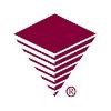 VIRTEXCO Logo