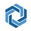 VISH Consulting Services Logo