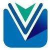 Visionaries Tech Solutions Logo