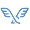 Visiture Logo