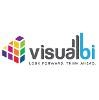 Visual BI Solutions Logo