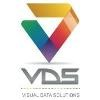 Visual Data Solutions Logo