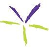 Visual Terrain Logo