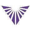 Vivid Impact Logo