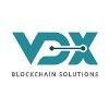 Vizidox Solutions Logo