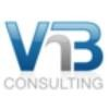 VNB Consulting Services Logo