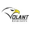 Volant Associates Logo