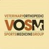 VOSM Logo