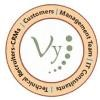 Vy Systems Logo