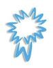 Wall Street Services Logo