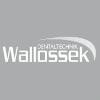 Wallossek Dentaltechnik Logo
