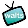 Walt's TV Logo