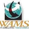 WAMS Logo