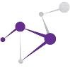 Wanda Logo