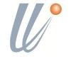 Washington Software Logo
