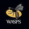 Wasps RFC Logo