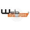 Web Synergies Logo