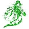 Webutuck Central School District Logo