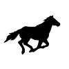 Western Express Logo