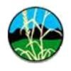 Western States Reclamation Logo