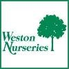 Weston Nurseries Logo