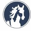 White Horse Auto Wash Logo