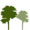 White house Clinics Logo