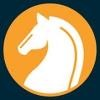 White Knight Recruitment Logo