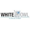 WhiteOwl Logo