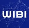 WibiData Logo
