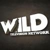 Wild TV Logo