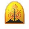Wildfire Defense Systems Logo