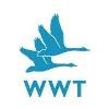 Wildfowl & Wetlands Trust Logo