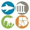 Wildlife Trading Company Logo