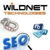 Wildnet Technologies Logo