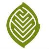 Wildwood School Logo