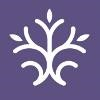 Willow Domestic Violence Center Logo