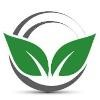 Willow Springs Recovery Logo