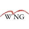 Wireless Network Group (WNG) Logo