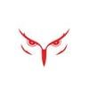 Wise Security Logo