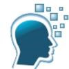 Wittybrains Software Technologies Logo