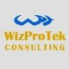 WizProTek Consulting Logo