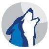 Wolf Consulting Logo