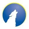 WolfCreek Consulting Logo