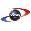 Wolverine Solutions Group Logo