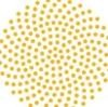 Women's Global Leadership Initiative Logo