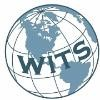 World IT Solutions Logo