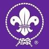 World Organization of the Scout Movement (WOSM) Logo
