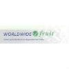 Worldwide Fruit Logo