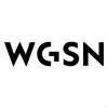 Worth Global Style Network Logo